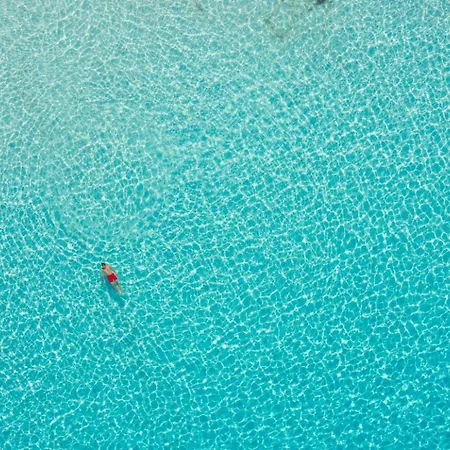 Katerina Villa Dalietátika